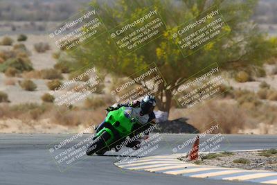 media/Apr-10-2022-SoCal Trackdays (Sun) [[f104b12566]]/Turn 5 Tree of Life (1040am)/